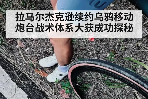拉马尔杰克逊续约乌鸦移动炮台战术体系大获成功探秘